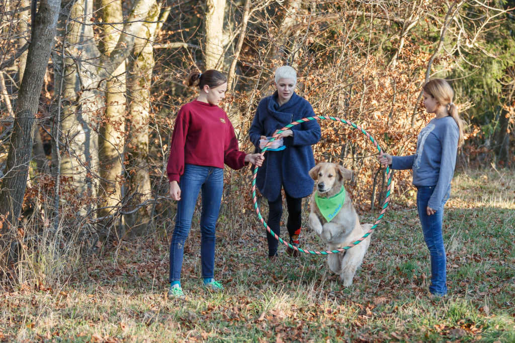 Hund Timber springt durch einen Reifen