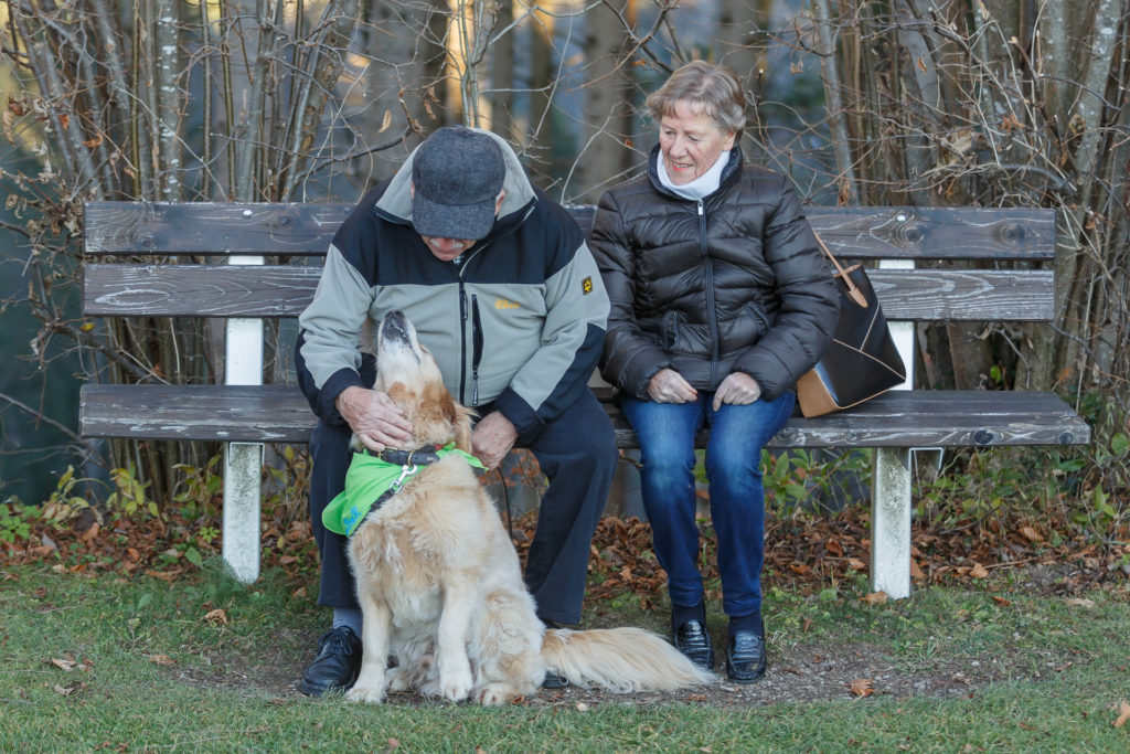 Hund Timber mit einem Senioren Paar