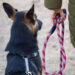 Leash for a safety bond