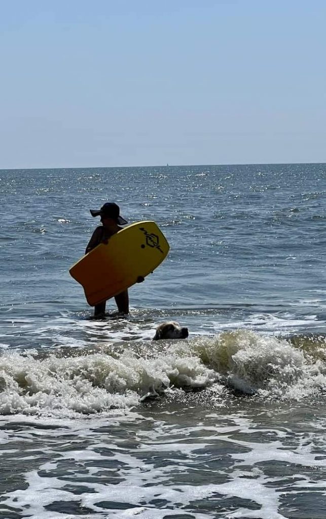 Johanna with surfboard. Timber in water